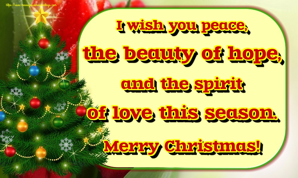 I wish you peace, the beauty of hope, and the spirit of love this season. Merry Christmas!