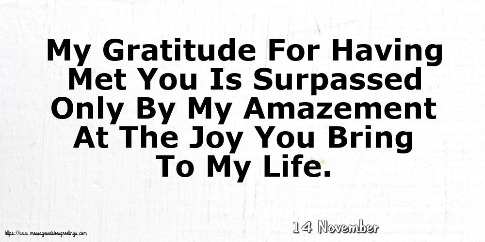 14 November - My Gratitude For Having Met You