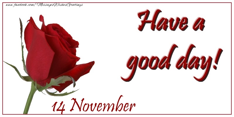 November 14 Have a good day!