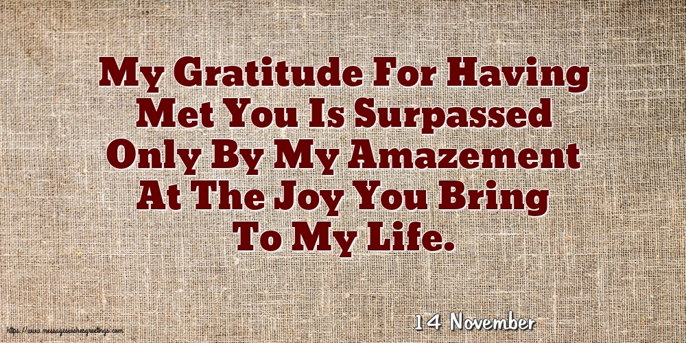 14 November - My Gratitude For Having Met You