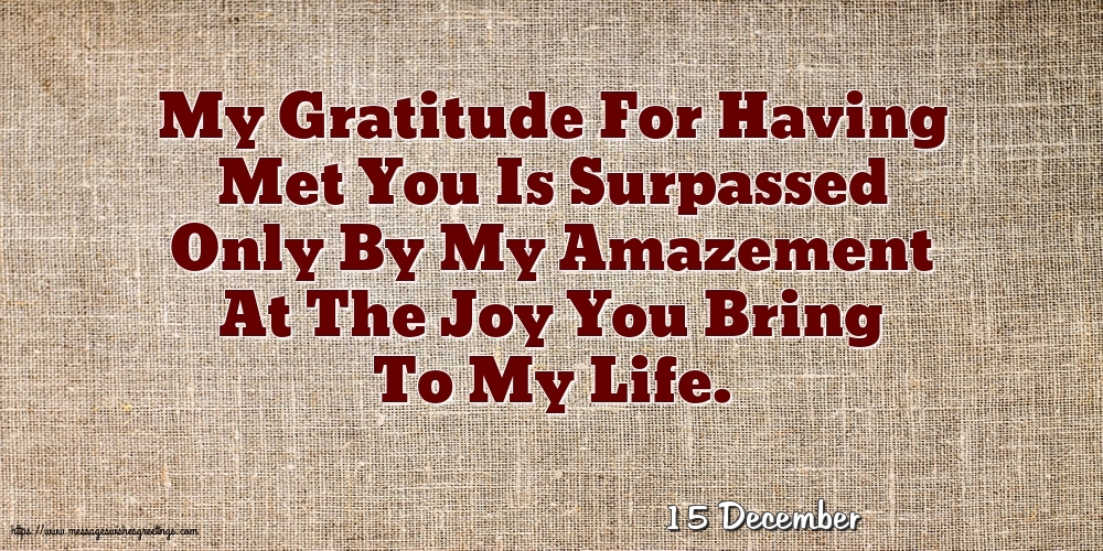 15 December - My Gratitude For Having Met You