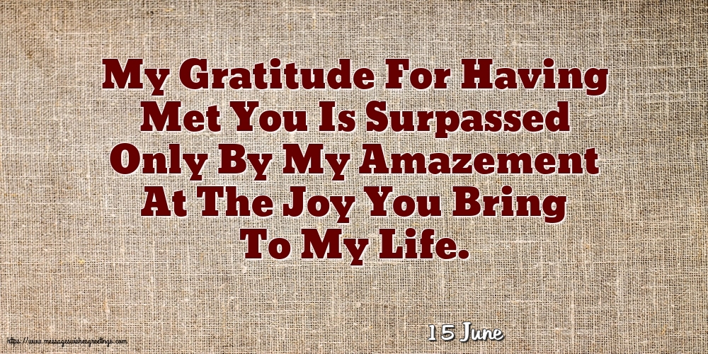 15 June - My Gratitude For Having Met You