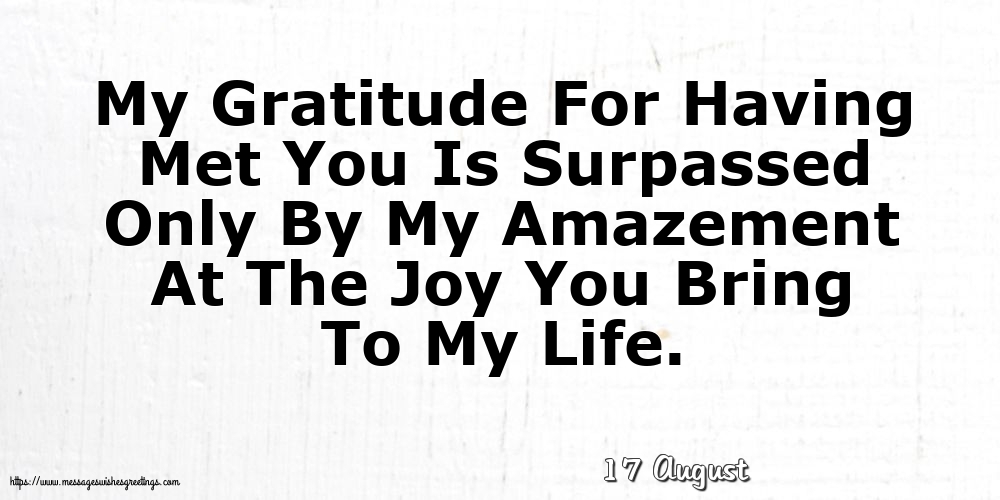 17 August - My Gratitude For Having Met You