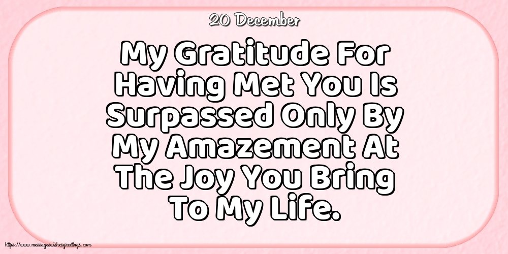 20 December - My Gratitude For Having Met You