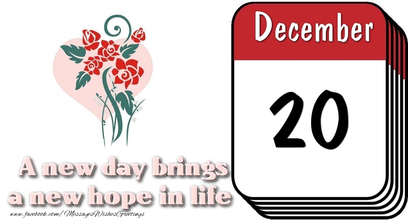 Greetings Cards of 20 December - December 20 A new day brings a new hope in life