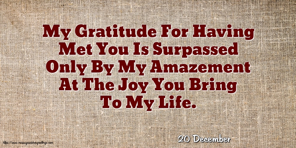 20 December - My Gratitude For Having Met You