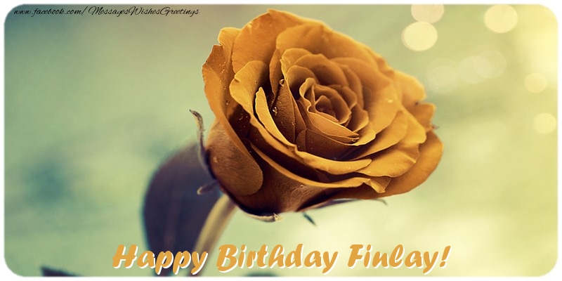 Greetings Cards for Birthday - Roses | Happy Birthday Finlay!