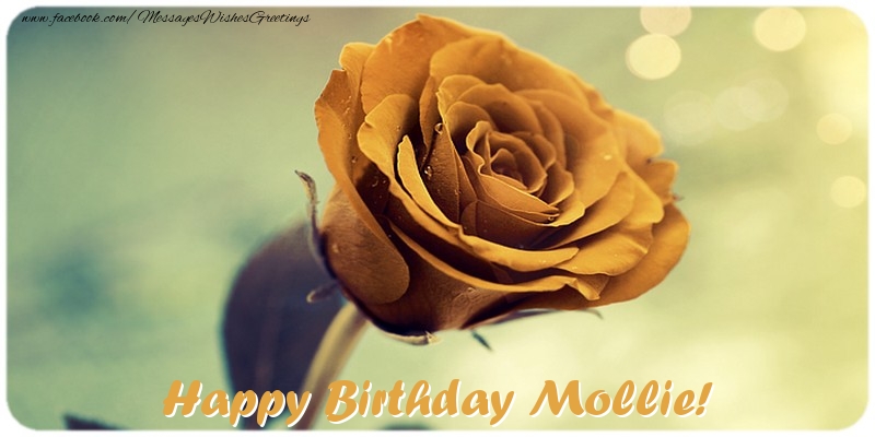 Greetings Cards for Birthday - Happy Birthday Mollie!