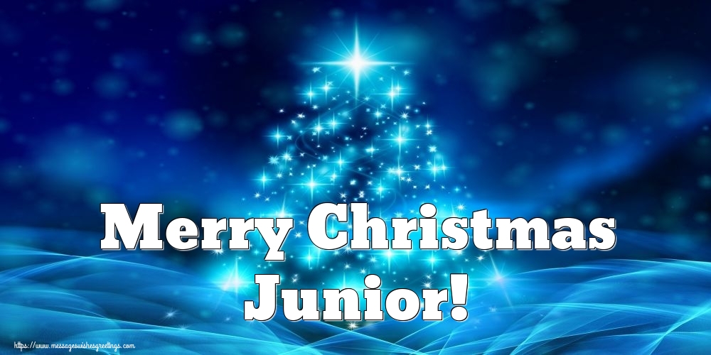 Greetings Cards for Christmas - Merry Christmas Junior!