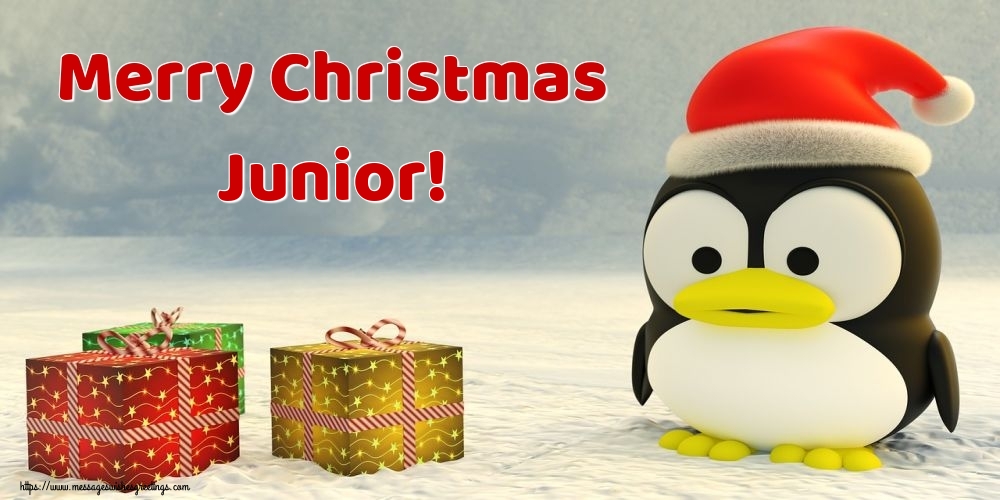 Greetings Cards for Christmas - Merry Christmas Junior!