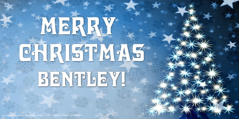 Greetings Cards for Christmas - Merry Christmas Bentley!