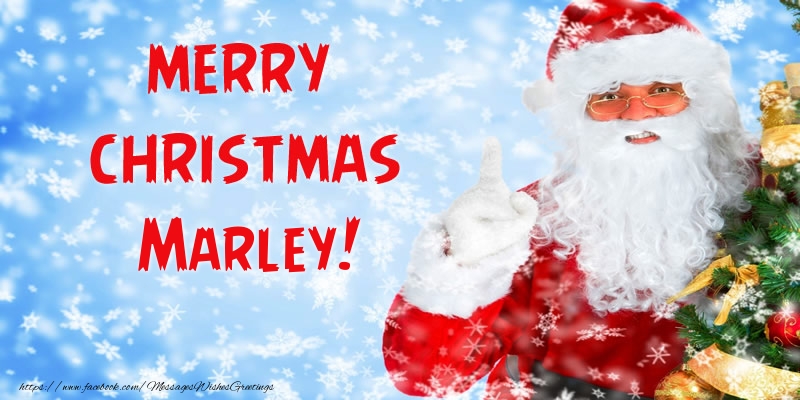 Greetings Cards for Christmas - Merry Christmas Marley!