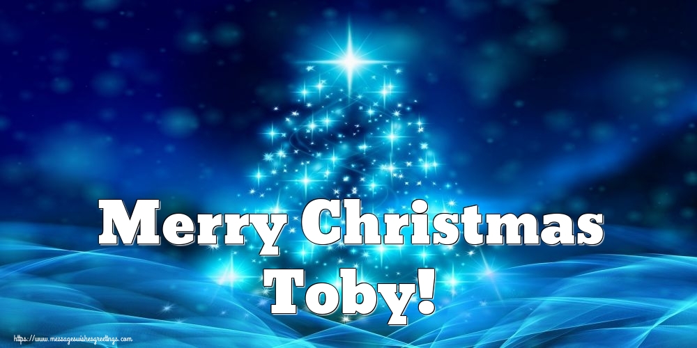 Greetings Cards for Christmas - Merry Christmas Toby!