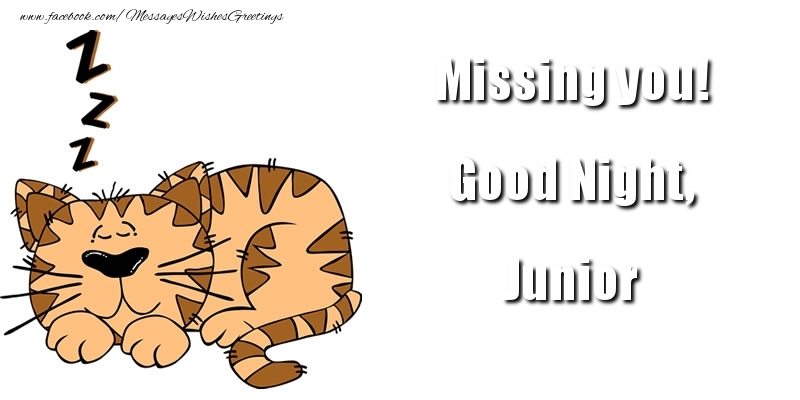 Greetings Cards for Good night - Missing you! Good Night, Junior