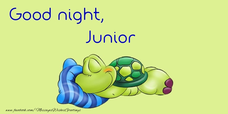  Greetings Cards for Good night - Animation | Good night, Junior