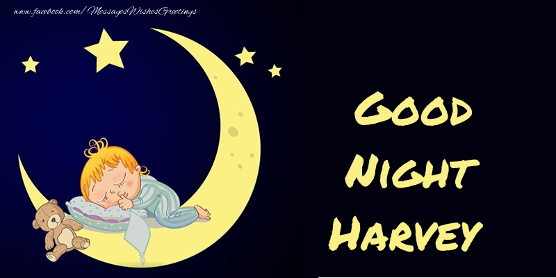 Greetings Cards for Good night - Good Night Harvey