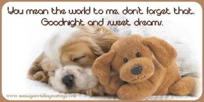 Good night You mean the world to me, don’t forget that. Goodnight and sweet dreams.