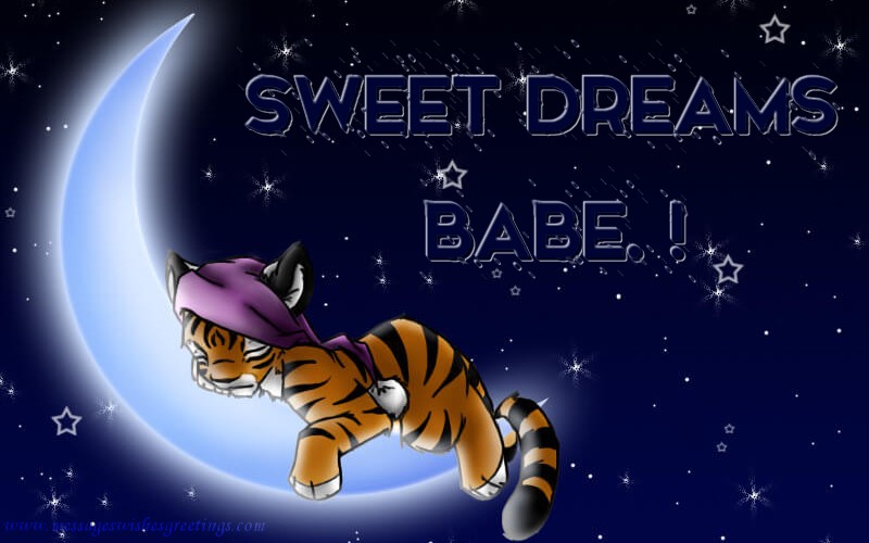 Good night Sweet dreams babe. !